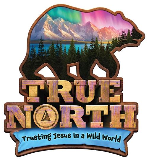 true-north-logo-LoRes-RGB vbs logo